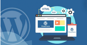 Become WordPress Developer